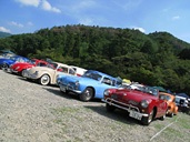 9th VW Autumn