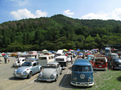 9th VW Autumn