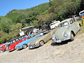 0th VW AUTUMN 2009